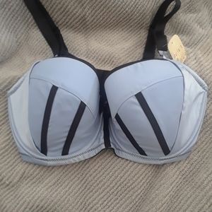 NWT: Parfait Charlotte